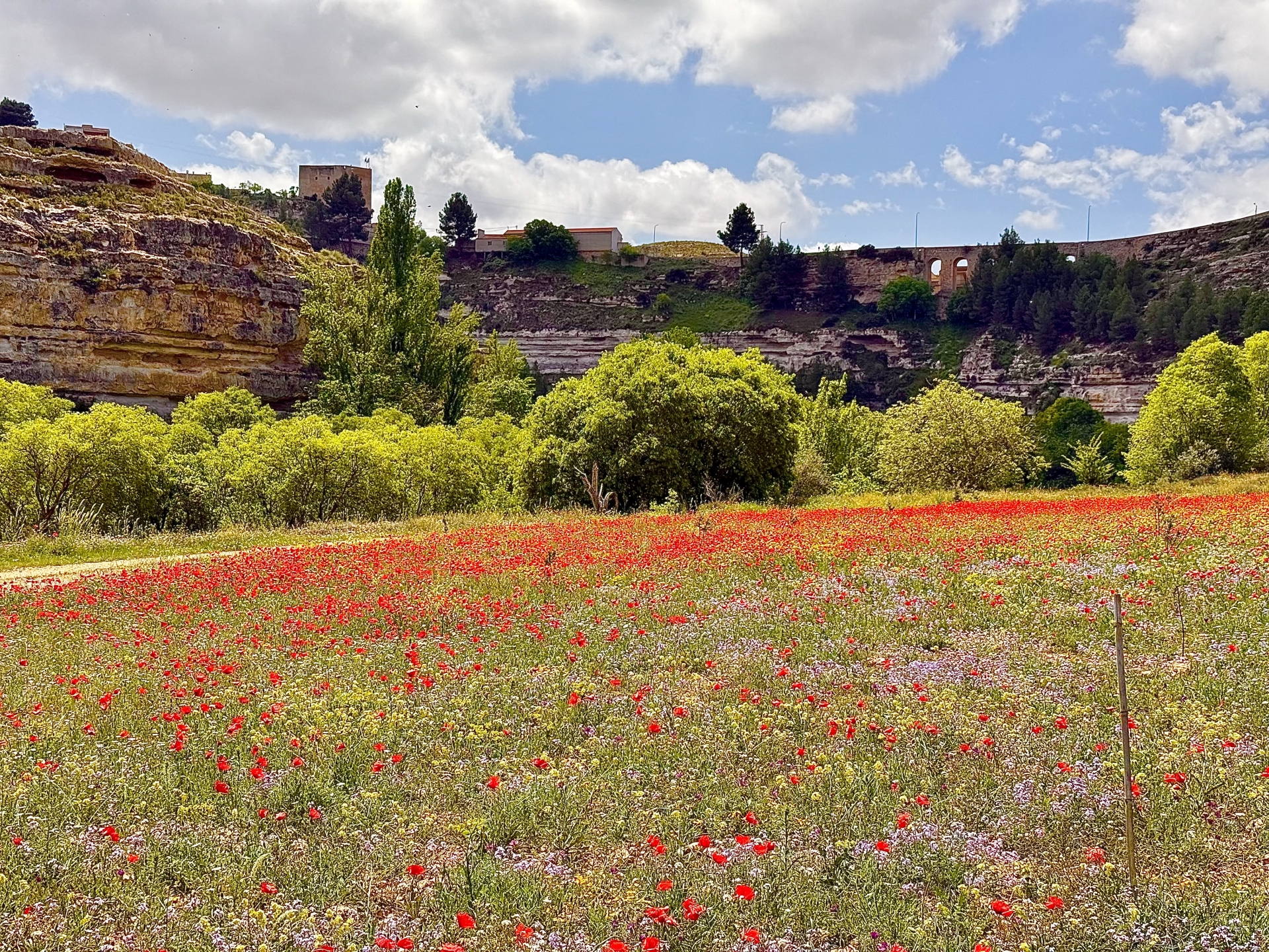 Albacete Ahora Jorquera desde el Arroyo de Abengibre