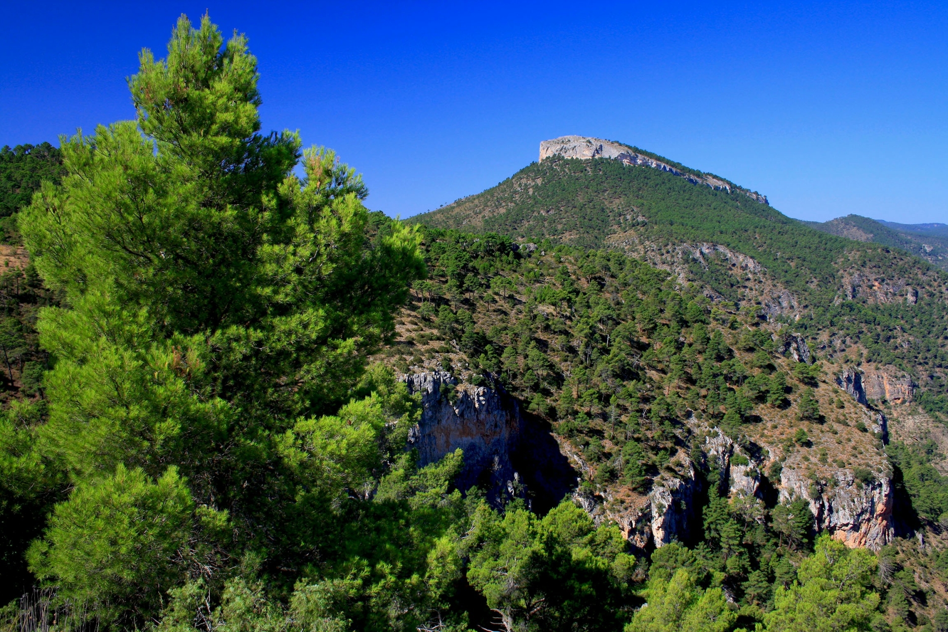 Albacete Ahora El monte Padrastro visto desde la cima del monte Picayo
