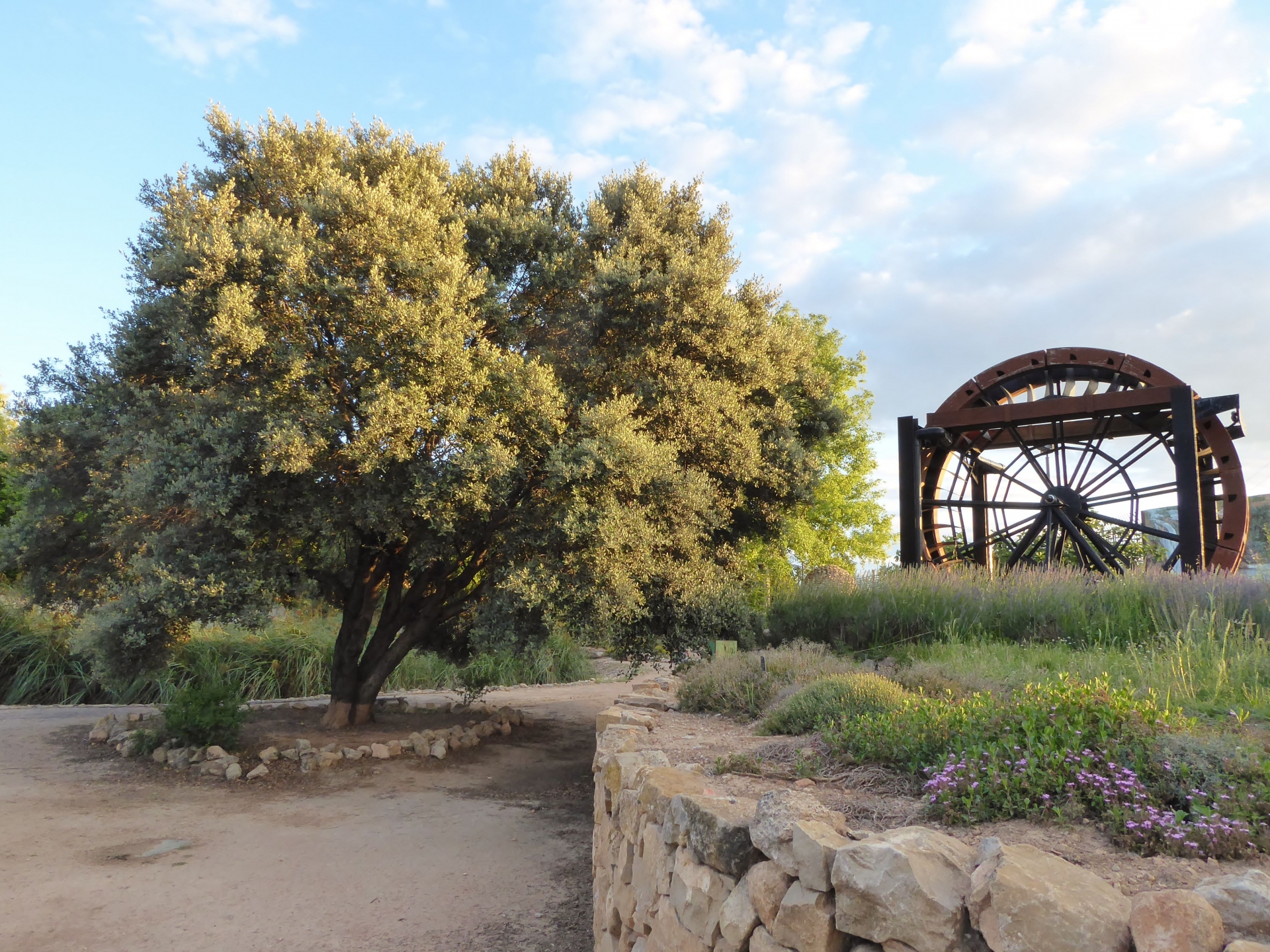 Albacete Ahora Jardín Botánico de Castilla - La Mancha
