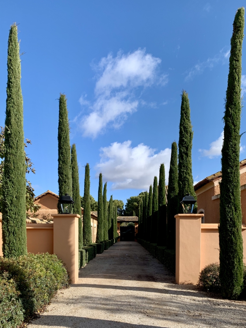 Albacete Ahora Dehesa de Los Llanos