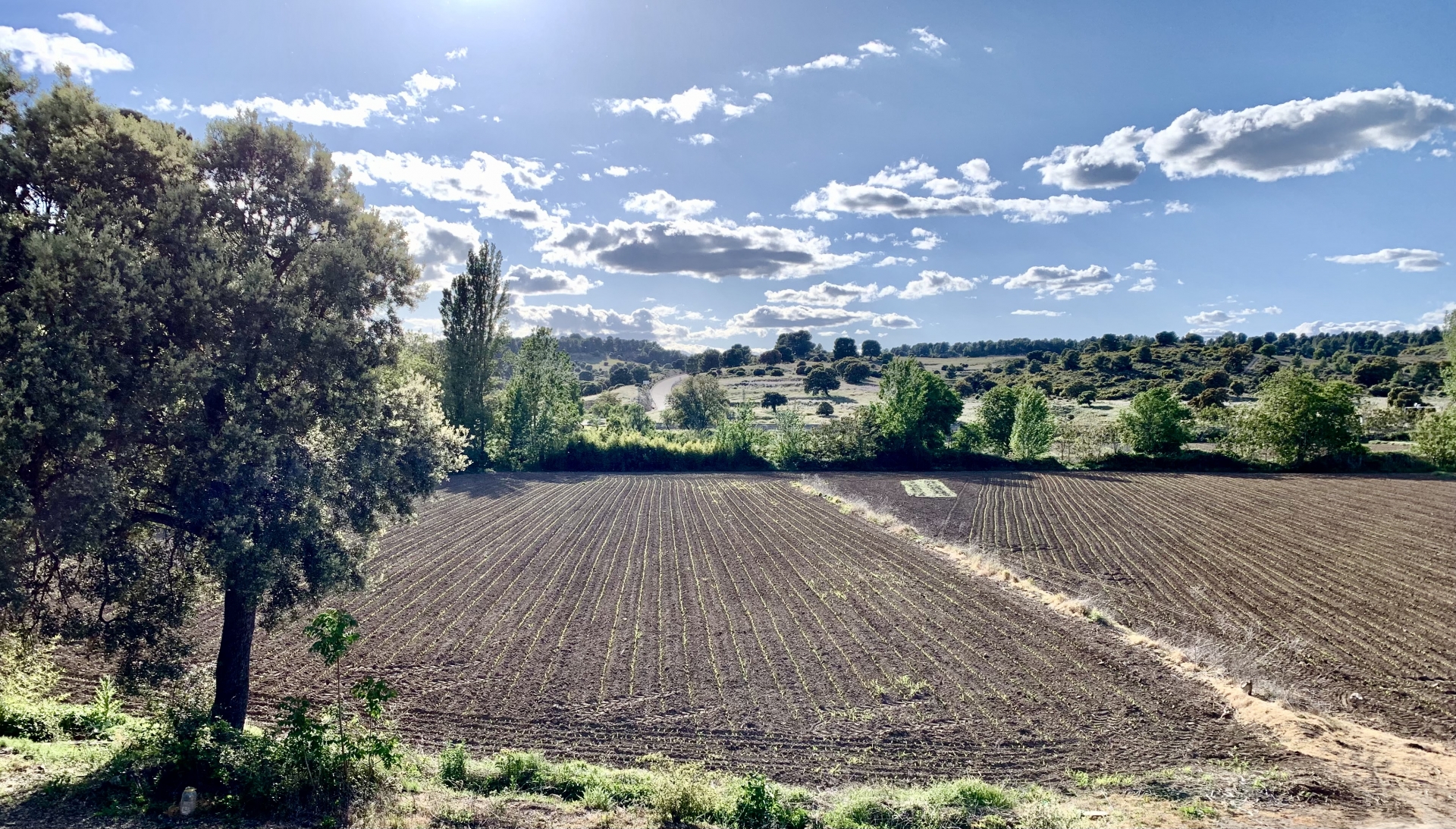 Albacete Ahora Río Jardín