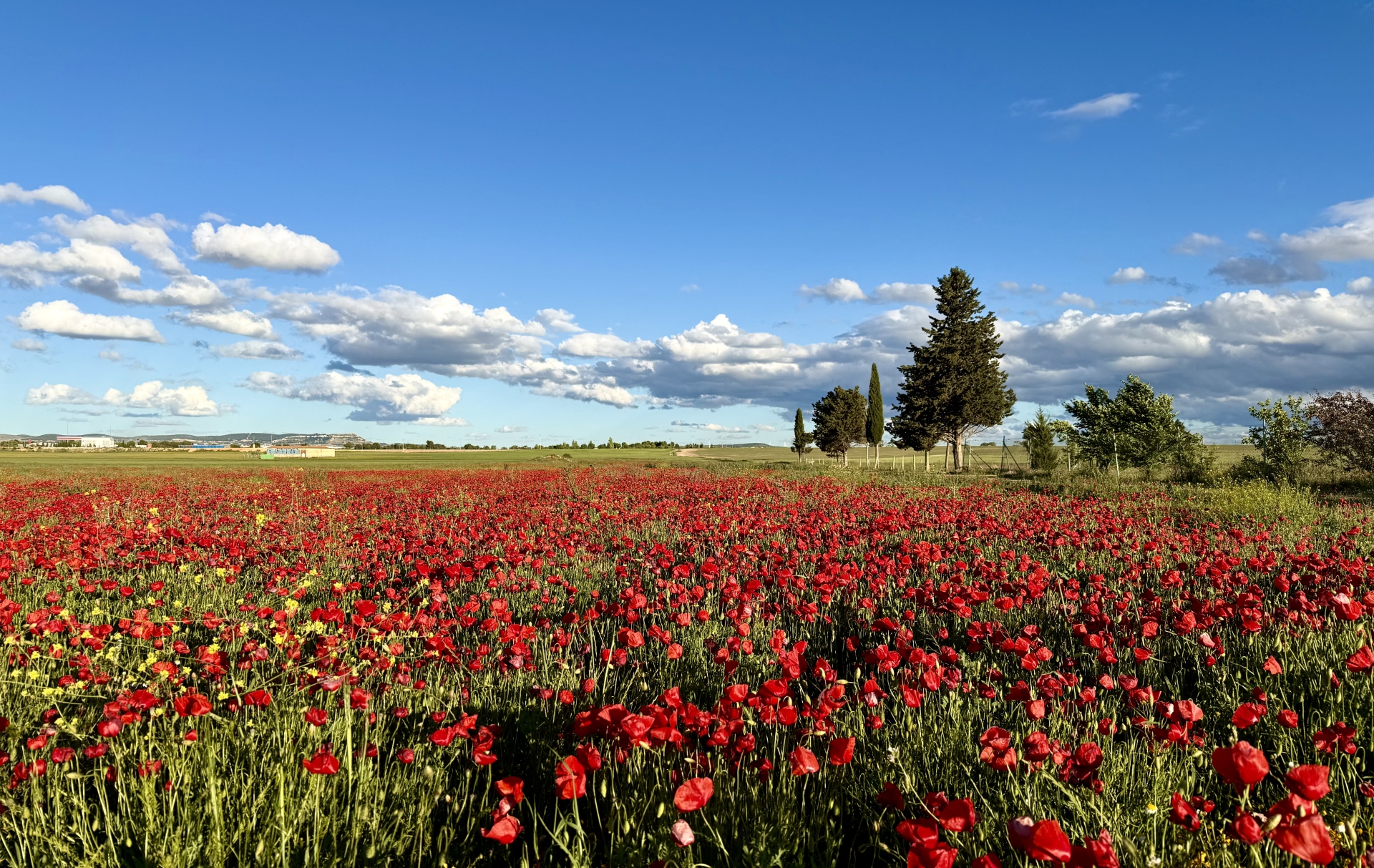 Albacete Ahora Por el camino de la Cabrera
